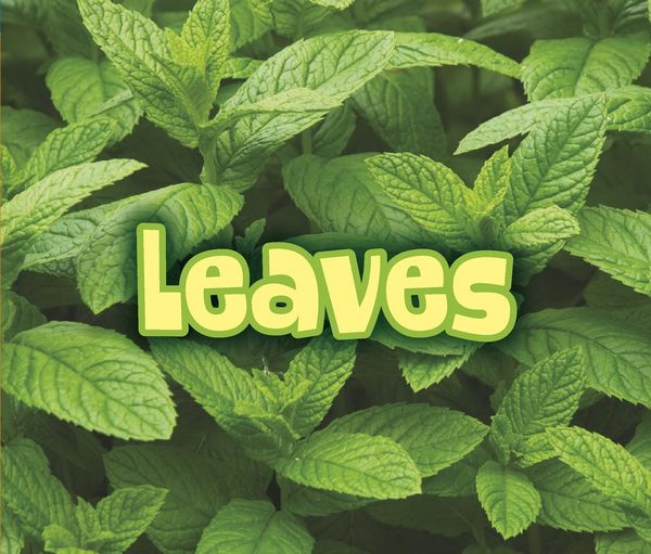 Produktbild: All About Leaves