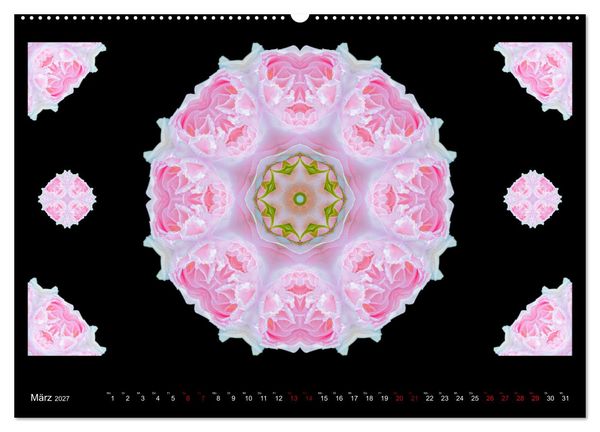 Produktbild: ROSEN MANDALAS (hochwertiger Premium Wandkalender 2027 DIN A2 quer), Kunstdruck in Hochglanz