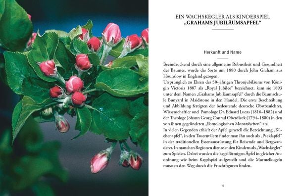 Produktbild: Das gro&szlig;e kleine Buch: Alte Obstsorten in der K&uuml;che