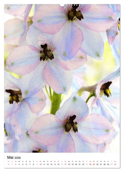 Produktbild: Bl&uuml;ten - Ein Fest der Formen und Farben (hochwertiger Premium Wandkalender 2026 DIN A2 hoch), Kunstdruck in Hochglanz