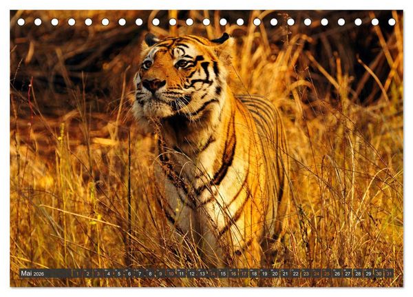 Produktbild: Tiere Indiens close up (Tischkalender 2026 DIN A5 quer), CALVENDO Monatskalender