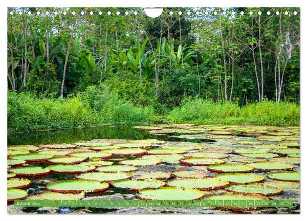 Produktbild: Der Amazonas: von den Anden zum Atlantik (Wandkalender 2026 DIN A4 quer), CALVENDO Monatskalender