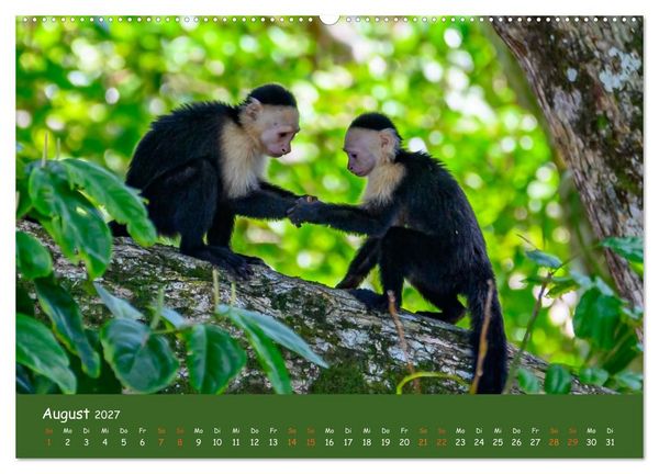 Produktbild: Costa Rica - Naturparadies zwischen Karibik und Pazifik (Wandkalender 2027 DIN A2 quer), CALVENDO Monatskalender