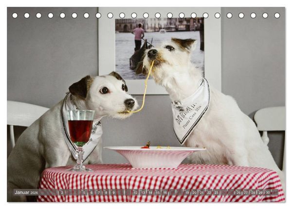 Produktbild: Die Parson-Russell-Terrier ...mit neuen Abenteuern aus der Hundeknipserei (Tischkalender 2026 DIN A5 quer), CALVENDO Monatskalender