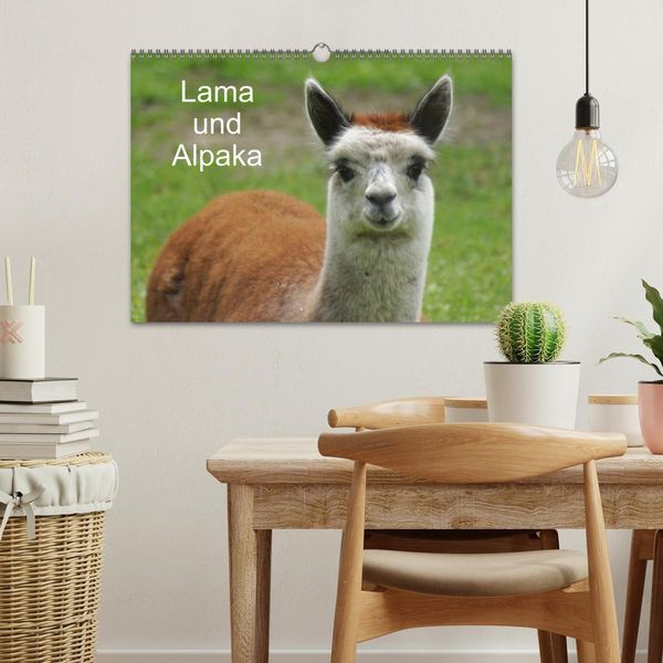 Produktbild: Lama und Alpaka (Wandkalender 2026 DIN A3 quer), CALVENDO Monatskalender