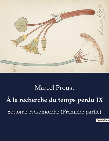 Produktbild: &Agrave; la recherche du temps perdu IX