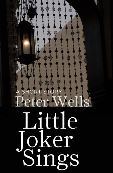 Produktbild: Little Joker Sings