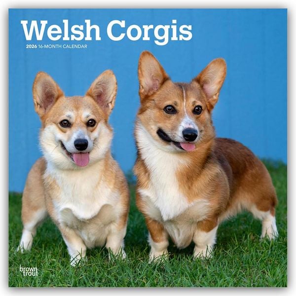 Produktbild: Welsh Corgis &ndash; Welsh Corgi 2026 &ndash; 16-Monatskalender