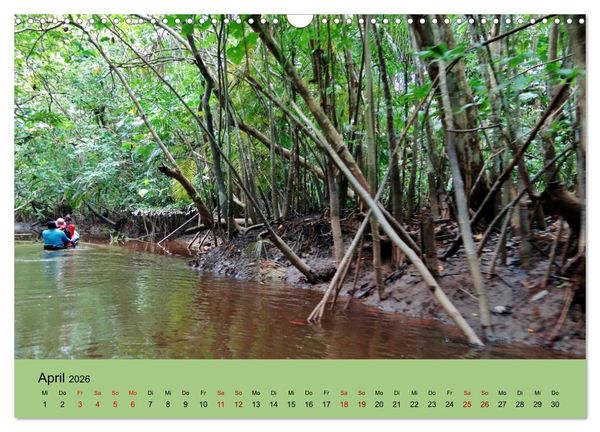Produktbild: Venezuela - Natur pur Orinoco Delta und die Anden (Wandkalender 2026 DIN A3 quer), CALVENDO Monatskalender
