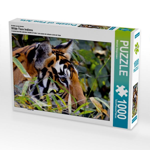 Produktbild: CALVENDO Puzzle Lauernder Tiger | 1000 Teile Lege-Gr&ouml;&szlig;e 64x48cm Foto-Puzzle f&uuml;r gl&uuml;ckliche Stunden