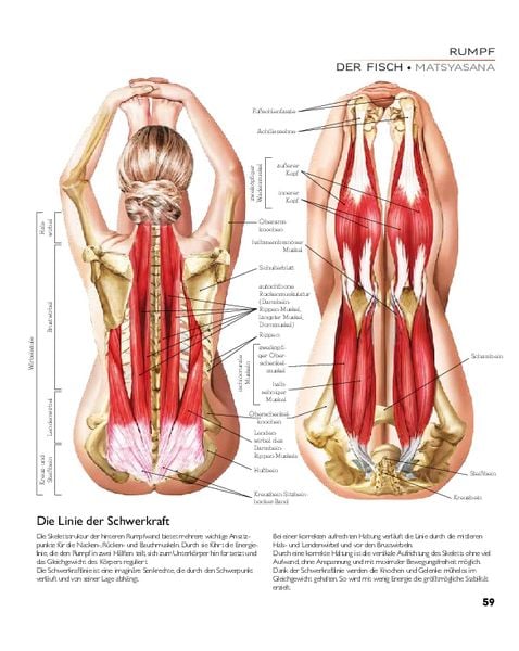 Produktbild: YOGA - Atlas der Anatomie