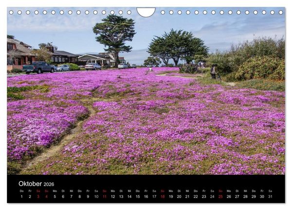 Produktbild: Monterey California (Wandkalender 2026 DIN A4 quer), CALVENDO Monatskalender