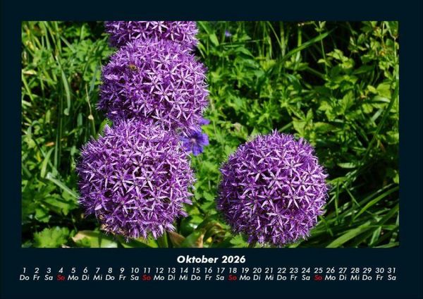 Produktbild: Blumenkalender 2026 Fotokalender DIN A4
