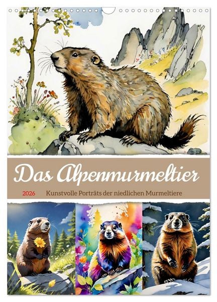 Produktbild: Das Alpenmurmeltier (Wandkalender 2026 DIN A3 hoch), CALVENDO Monatskalender
