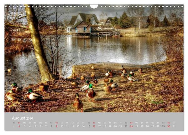 Produktbild: M&uuml;hlenmuseum Gifhorn (Wandkalender 2026 DIN A3 quer), CALVENDO Monatskalender