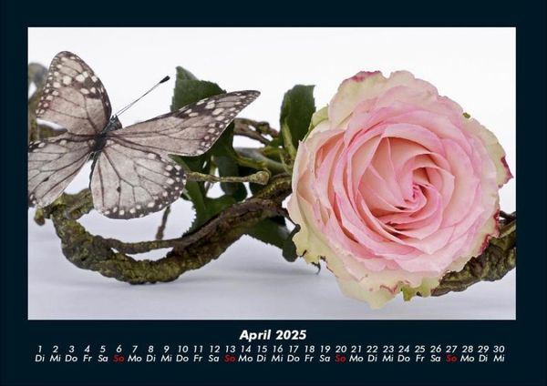 Produktbild: Strahlend sch&ouml;ne Rosen 2025 Fotokalender DIN A4