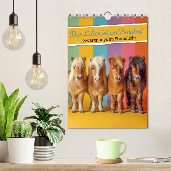 Produktbild: Das Leben ist ein Ponyhof - Zwergponys im Studiolicht (Wandkalender 2026 DIN A4 hoch), CALVENDO Monatskalender