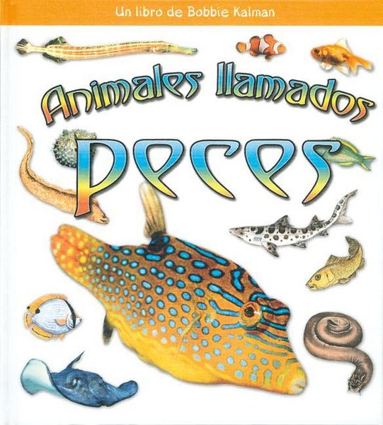 Produktbild: Animales Llamados Peces (Animals Called Fish)