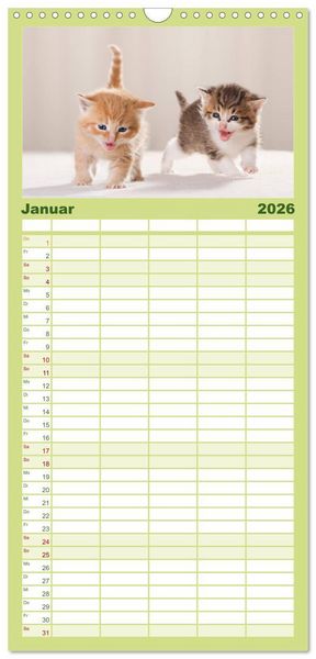 Produktbild: Familienplaner 2026 - L&auml;chelnd durchs Jahr - Katzenkinder -Familienplaner hoch mit 5 Spalten (Wandkalender, 21 x 45 cm) CALVENDO