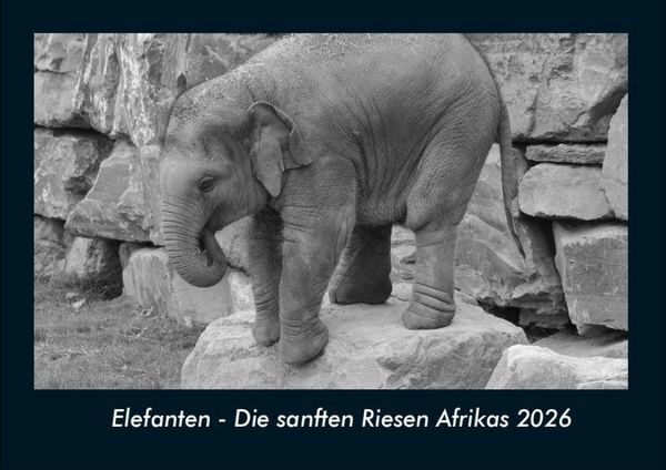 Elefanten - Die sanften Riesen Afrikas 2026 Fotokalender DIN A4
