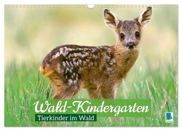 Wald-Kindergarten: Tierkinder im Wald (Wandkalender 2026 DIN A3 quer), CALVENDO Monatskalender
