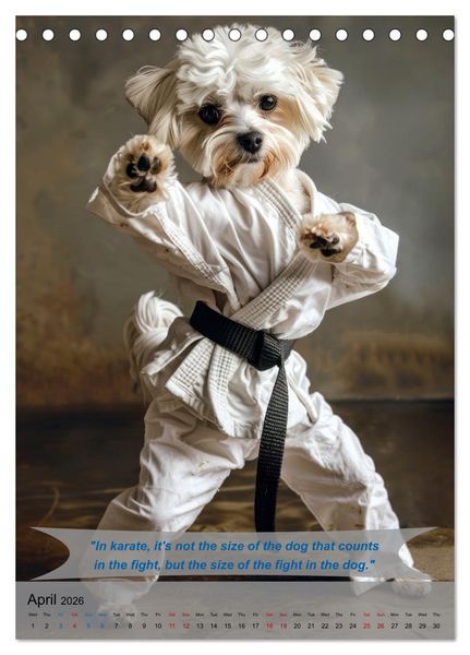 Produktbild: Great fun with animal karate fighters (Desk Calendar 2026 DIN A5 portrait), CALVENDO 12 Month DeskCalendar