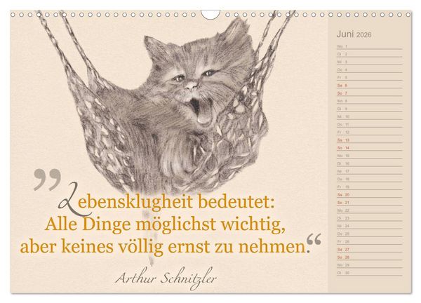 Produktbild: Von Katzen lernen (Wandkalender 2026 DIN A3 quer), CALVENDO Monatskalender