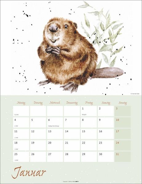 Produktbild: Country Life Kalender 2027