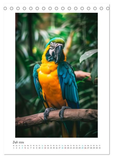 Produktbild: Exotische Sch&ouml;nheiten - pr&auml;chtig bunte V&ouml;gel (Tischkalender 2026 DIN A5 hoch), CALVENDO Monatskalender