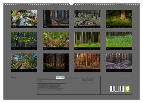 Produktbild: Wald (hochwertiger Premium Wandkalender 2026 DIN A2 quer), Kunstdruck in Hochglanz