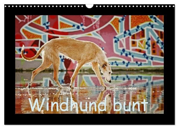 Produktbild: Windhund bunt (Wandkalender 2026 DIN A3 quer), CALVENDO Monatskalender