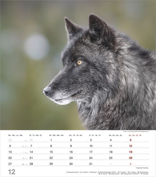 Produktbild: Mythos Wolf 2027