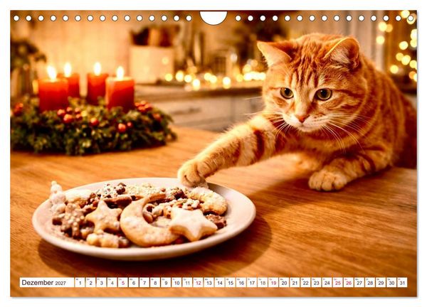 Produktbild: Rote Katzen (Wandkalender 2027 DIN A4 quer), CALVENDO Monatskalender