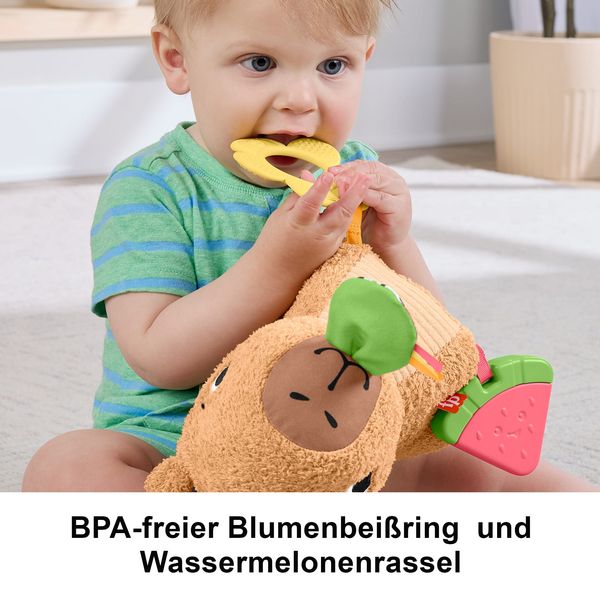 Produktbild: Fisher-Price sensorisches Babyspielzeug Kuschel-Capybara Pl&uuml;schtier mit Bei&szlig;ri