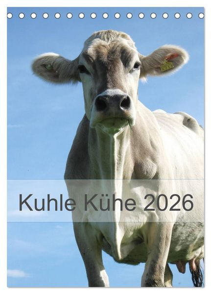 Produktbild: Kuhle K&uuml;he 2026 (Tischkalender 2026 DIN A5 hoch), CALVENDO Monatskalender