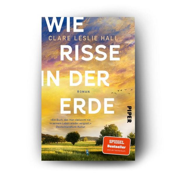 Produktbild: Wie Risse in der Erde