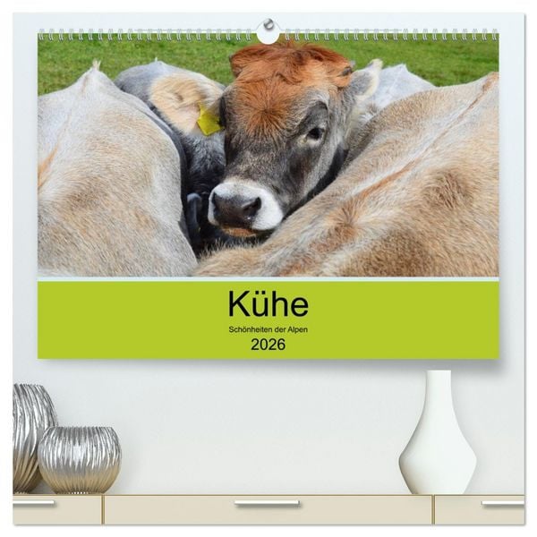 Kühe - Schönheiten der Alpen (hochwertiger Premium Wandkalender 2026 DIN A2 quer), Kunstdruck in Hochglanz