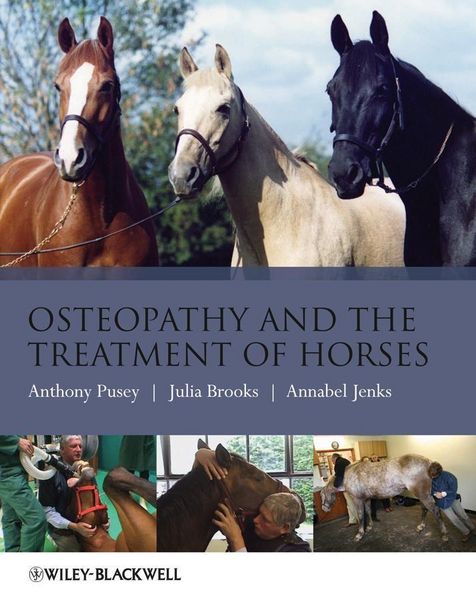 Produktbild: Osteopathy and the Treatment of Horses