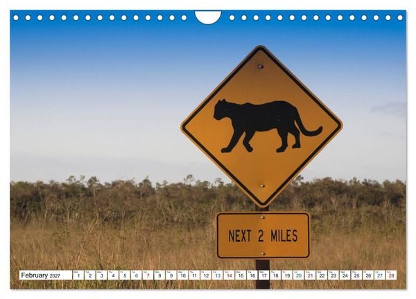 Produktbild: Sunshine State Florida Nature, Wildlife, National Parks (Wall Calendar 2027 DIN A4 landscape), CALVENDO 12 Month Wall Calendar
