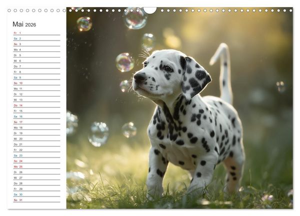 Produktbild: Hundegl&uuml;ck (Wandkalender 2026 DIN A3 quer), CALVENDO Monatskalender