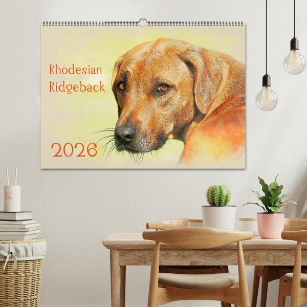 Produktbild: Rhodesian Ridgeback 2026 (Wandkalender 2026 DIN A2 quer), CALVENDO Monatskalender