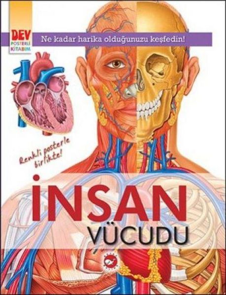 Produktbild: Insan V&uuml;cudu