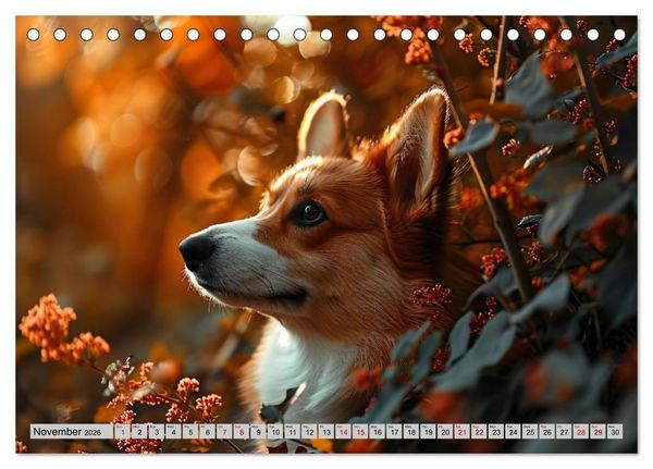 Produktbild: Corgis in Bloom (Desk Calendar 2026 DIN A5 landscape), CALVENDO 12 Month DeskCalendar