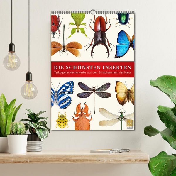 Produktbild: Die sch&ouml;nsten Insekten (Wandkalender 2026 DIN A2 hoch), CALVENDO Monatskalender