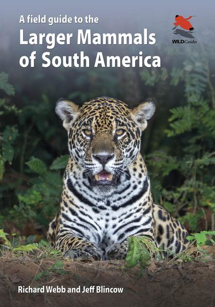 Produktbild: A Field Guide to the Larger Mammals of South America