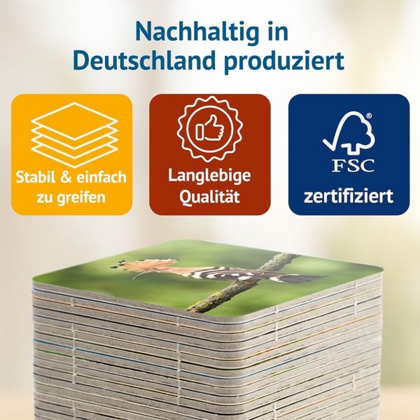 Produktbild: Vogelwild - Memospiel