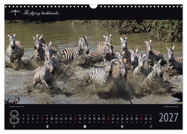 Produktbild: Tansania Blickwinkel 2027 (Wandkalender 2027 DIN A3 quer), CALVENDO Monatskalender