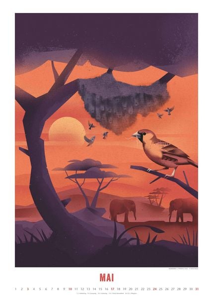 Produktbild: Dieter Braun: Die Welt der Tiere 2026 – Wandkalender – Format 50x70 cm