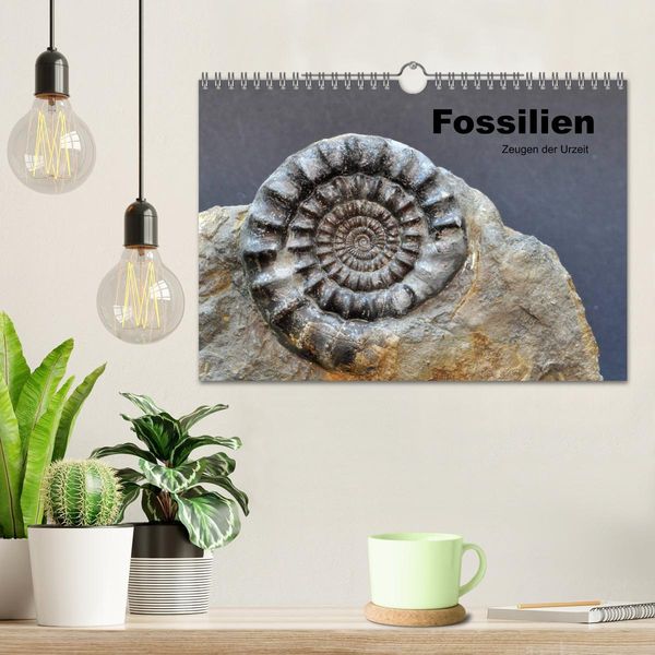 Produktbild: Fossilien - Zeugen der Urzeit (Wandkalender 2026 DIN A4 quer), CALVENDO Monatskalender