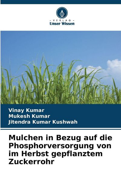 Produktbild: Mulchen in Bezug auf die Phosphorversorgung von im Herbst gepflanztem Zuckerrohr